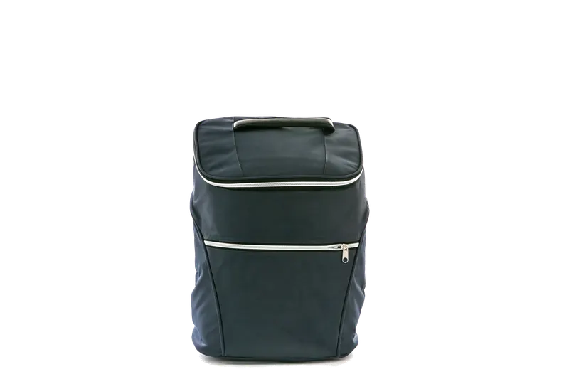 PET-CB2010 保冷袋客製樣品